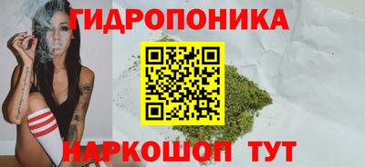 альфа пвп Ачхой-Мартан