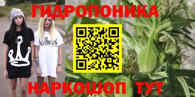 альфа пвп Ачхой-Мартан