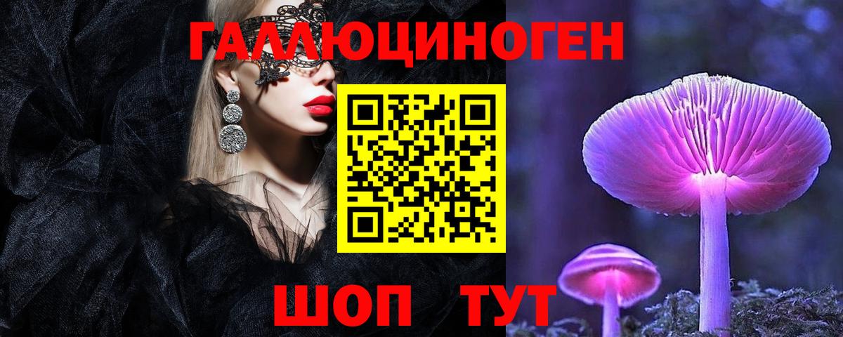 Псилоцибиновые грибы прущие грибы  Псилоцибиновые грибы GOLDEN TEACHER  Выборг  Вход с VPN 